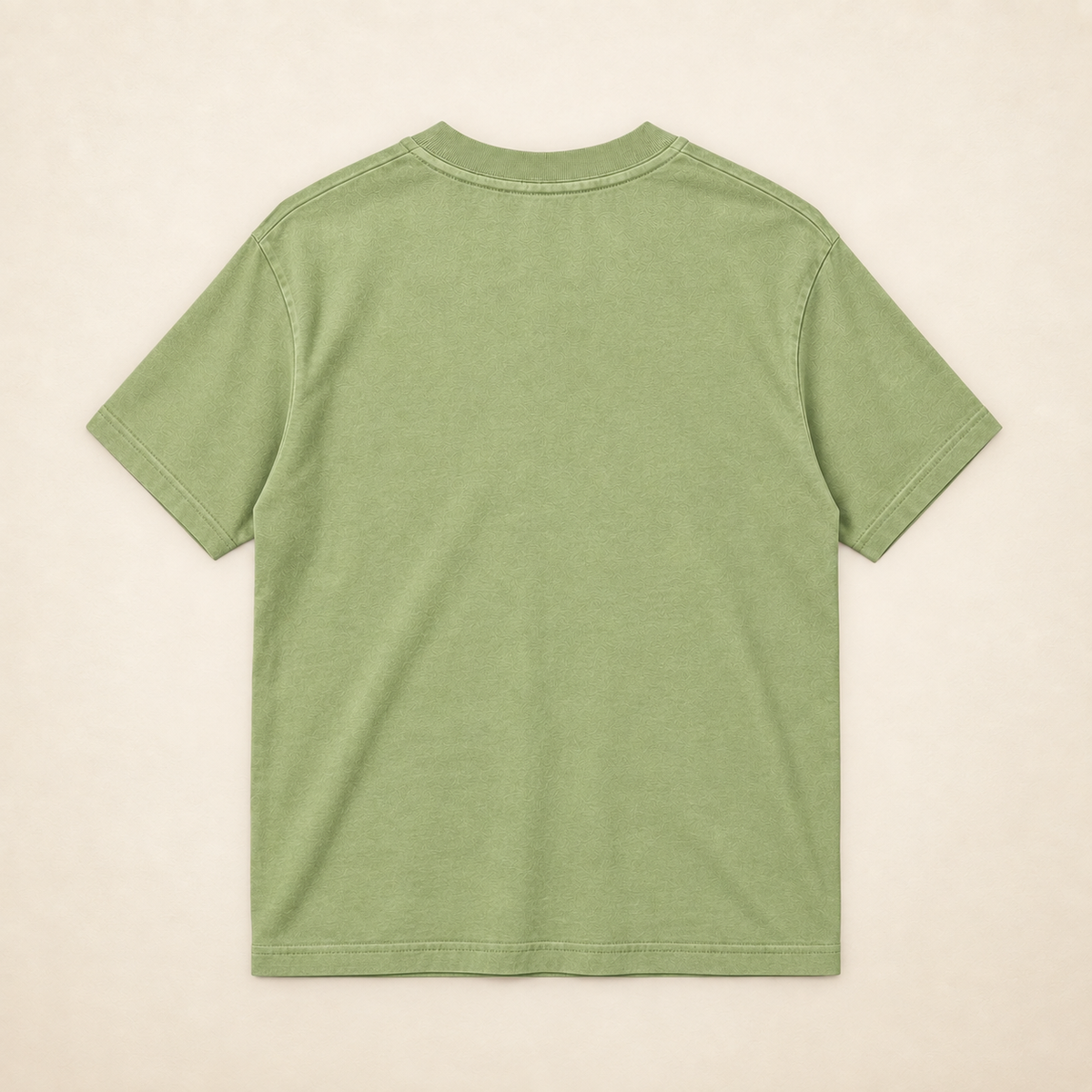 MadeInPinas PADAYON — Everyday Essentials Heavyweight Tee in Pigment Pistachio, back view