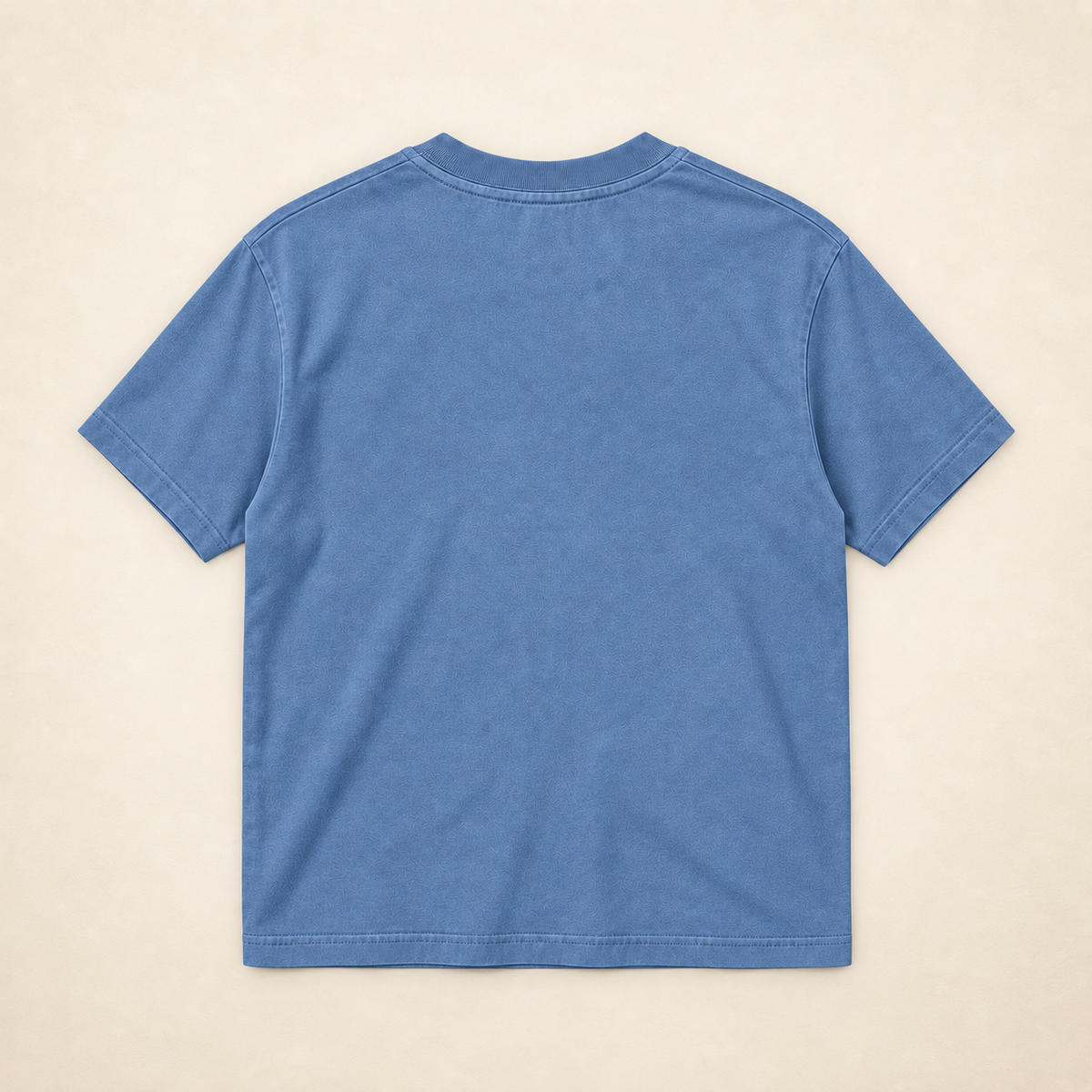 MadeInPinas PO & OPO Heavyweight Tee in Pigment Pebble Blue, back view